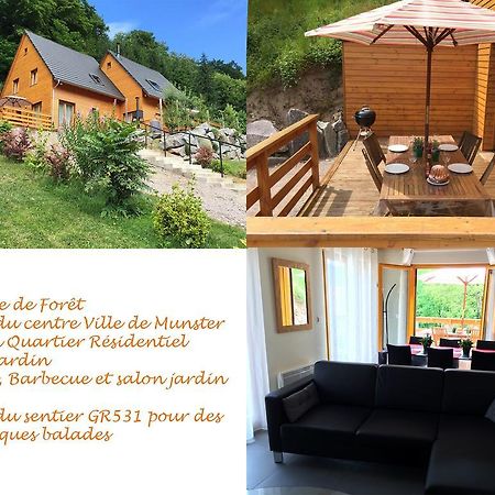 Le Chalet La Cigogne Et Le Chamois Munster  Exterior foto