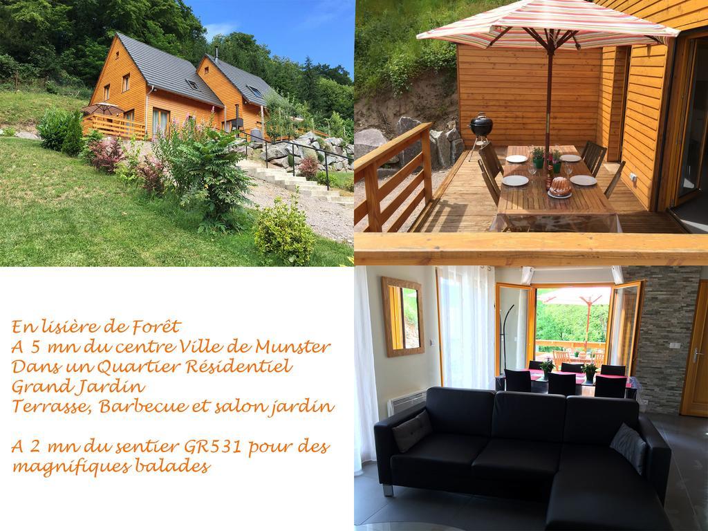 Le Chalet La Cigogne Et Le Chamois Munster  Exterior foto